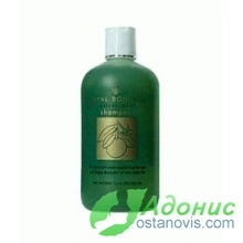 Цитрусово-мятный шампунь / Citrus mint shampoo